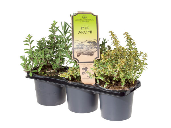 Herb Mix 3 Pack