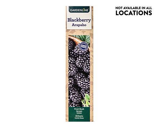Gardenline 
 Berry Bush Assorted Varieties