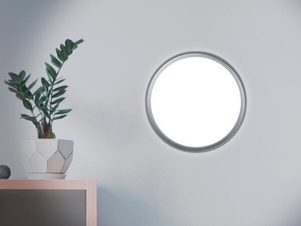 Ceiling or Wall LED Lamp
