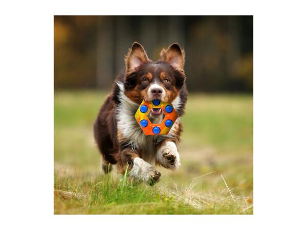 Nerf Dog LED Bubble Toys Hexagon Ring-Swirl LED