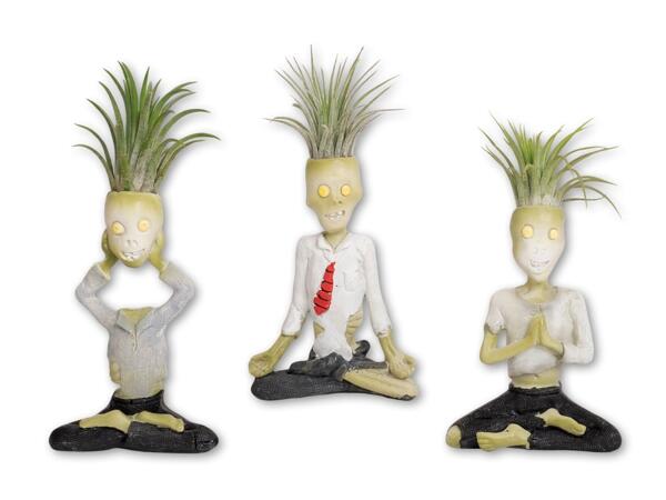 Tillandsia i keramik