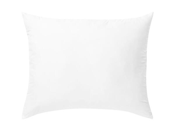 Anti-Mite Pillow