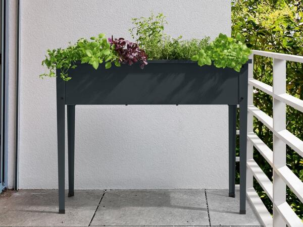Raised Planter