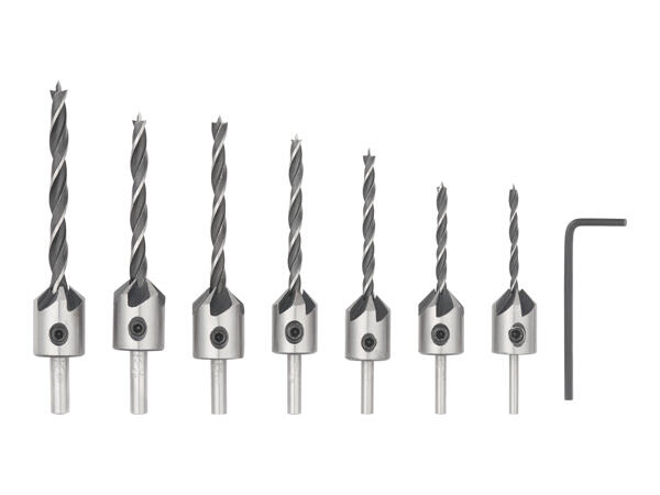 Parkside Specialised Bit Assortment