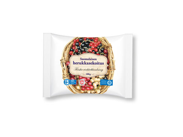 Vinbärsblandning