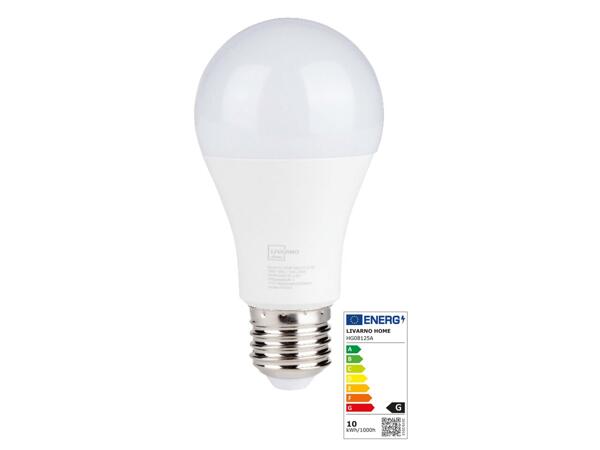 LED Light Bulbs