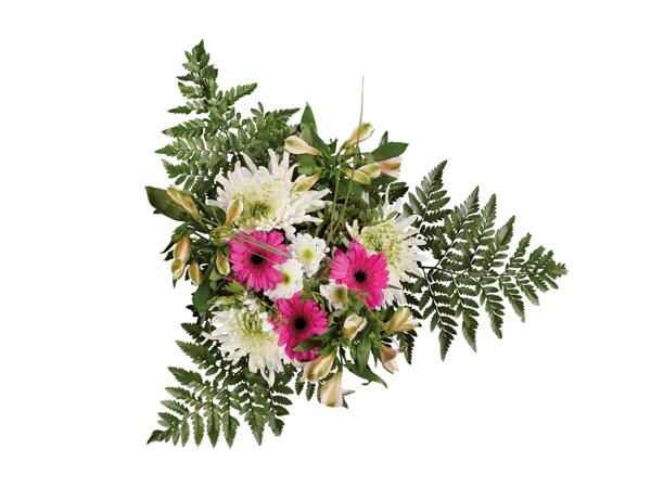 Bouquet multicolore
