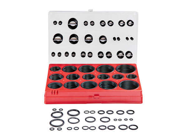 Parkside Assorted Washers or O-Rings