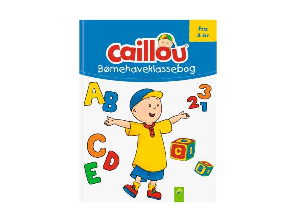 Aktivitetsbog