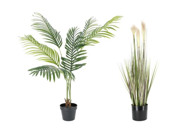 LIVARNO(R) Kunstig plante