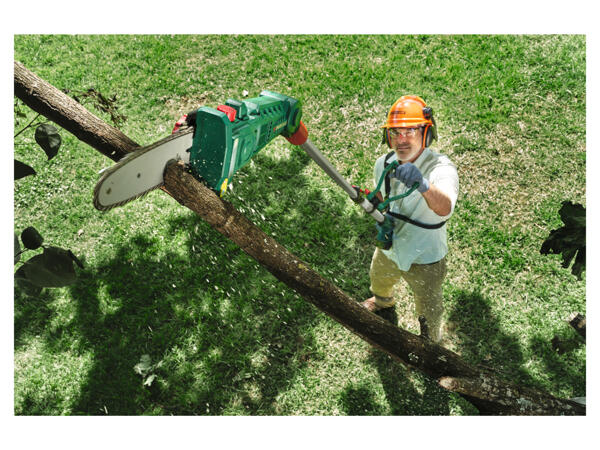 20V Cordless Pruner
