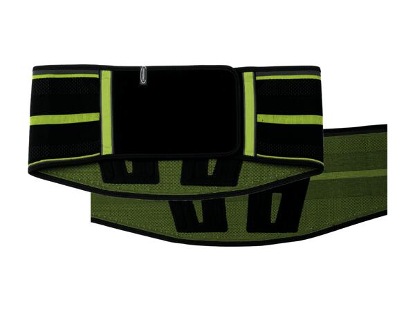 Ceinture dorsale