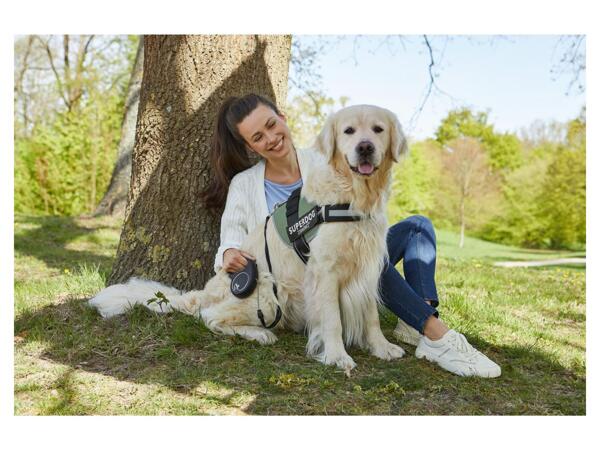 Dog Harness