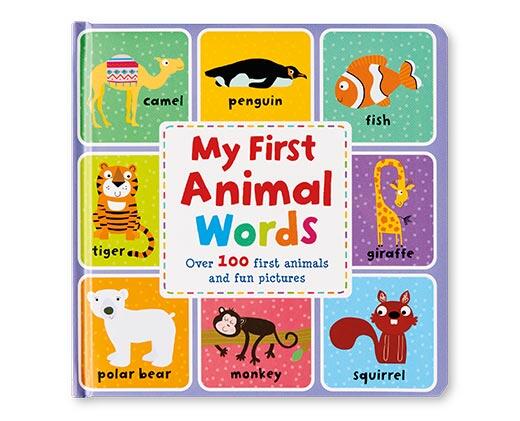 Bonnier First Picture Dictionary