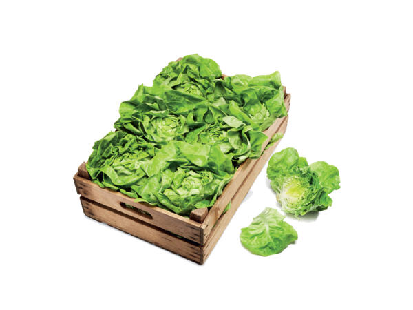 Huvudsallad