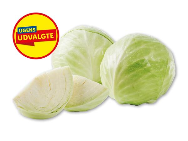 Dansk hvidkål