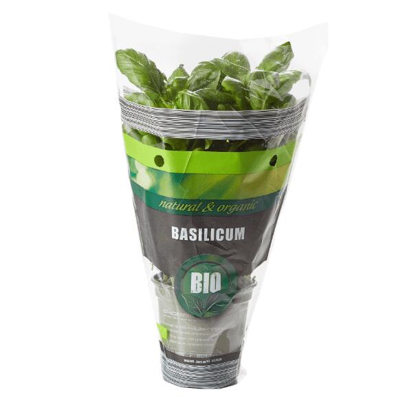 Basilic bio