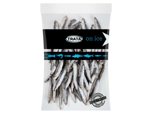 TRATA ON ICE Sardinen