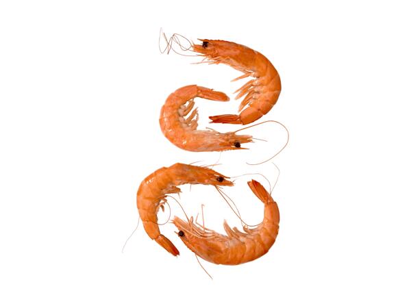 Crevettes cuites ASC (action valable uniquement au Tessin)