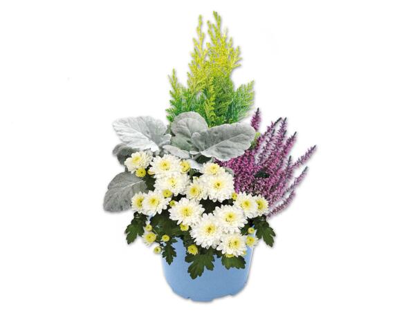 Herbstarrangement
