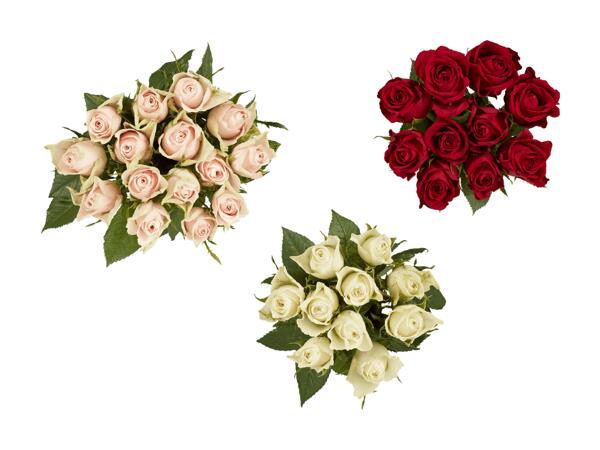 Roses Fairtrade
