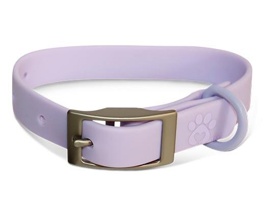 Heart to Tail Pet Collar