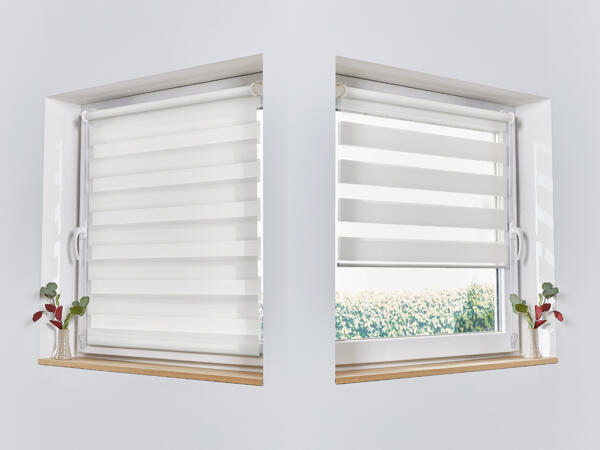 Fenster Dou-Rollo