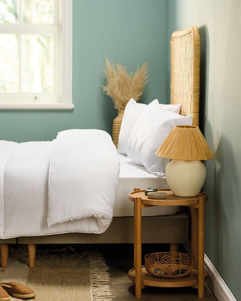 Anti Allergy Pillow