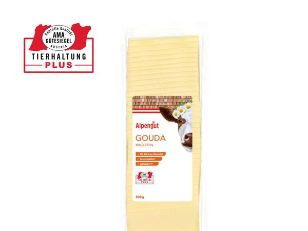 Gouda in Scheiben
