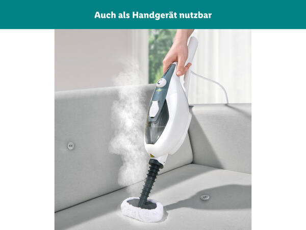 Dampfmopp/​Handdampfreiniger