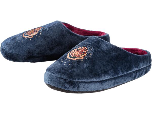 Harry Potter Slippers