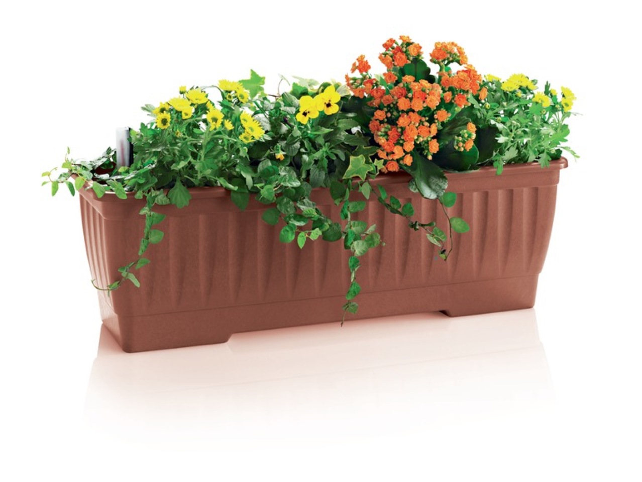 Blomlåda, 60 cm1