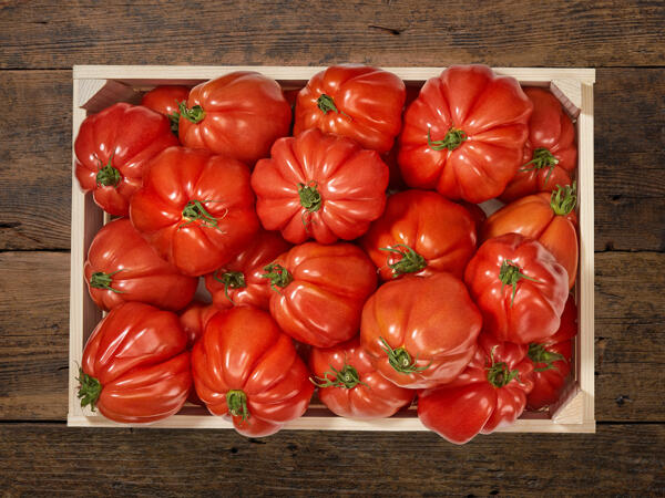 Pomodori cuore di bue