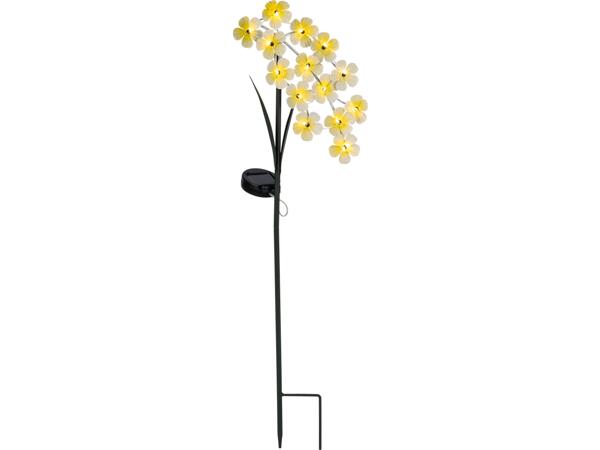 Decorative Solar Light