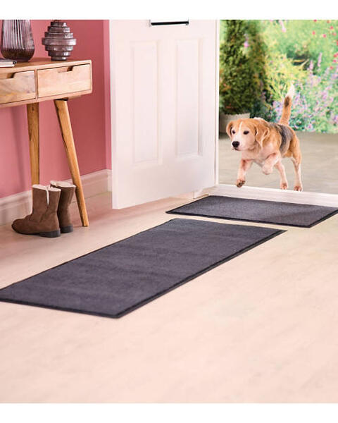 Dirt Trap Mat