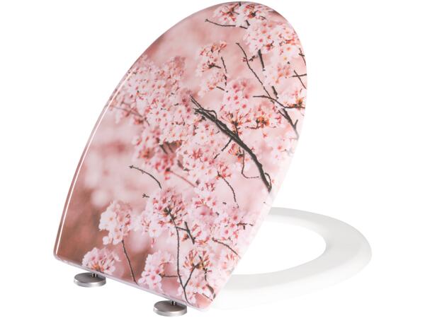 Toilet Seat