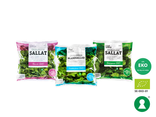 Ekologisk sallad