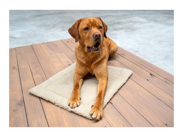 Karlie Cream Dog Warming Mat