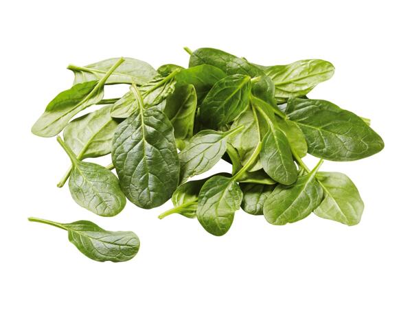 Spinach Leaves