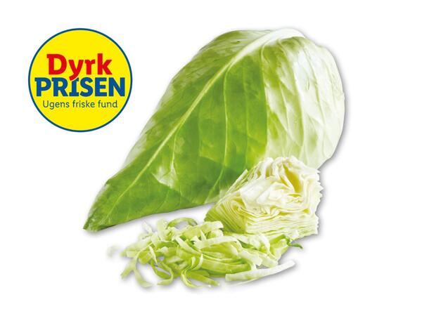 Dansk spidskål