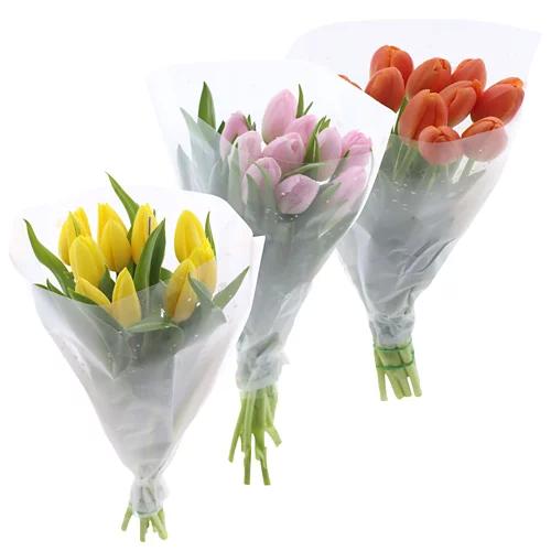 Tulipani di Capodanno