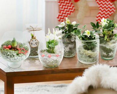 Weihnachtliches Glasarrangement