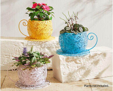 Tea Cup Planter