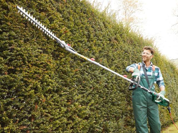 Long-Reach Hedge Trimmer
