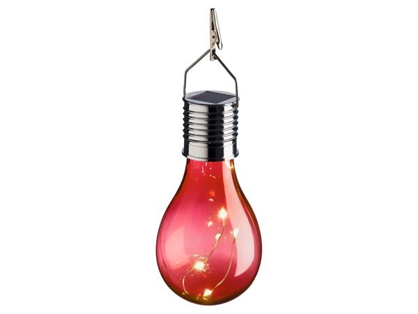 Decorative Solar Light