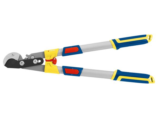 Extendable bypass or anvil lopper