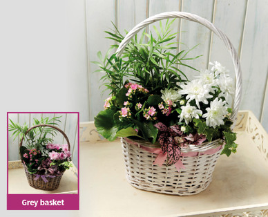 Premium Mother's Day Gift Basket