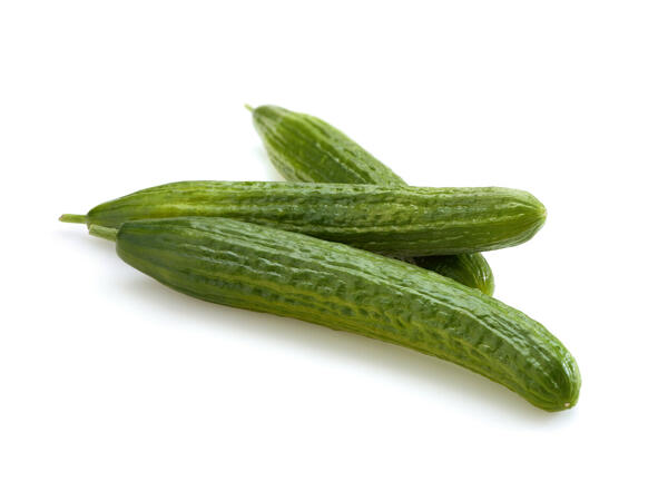 Concombre bio
