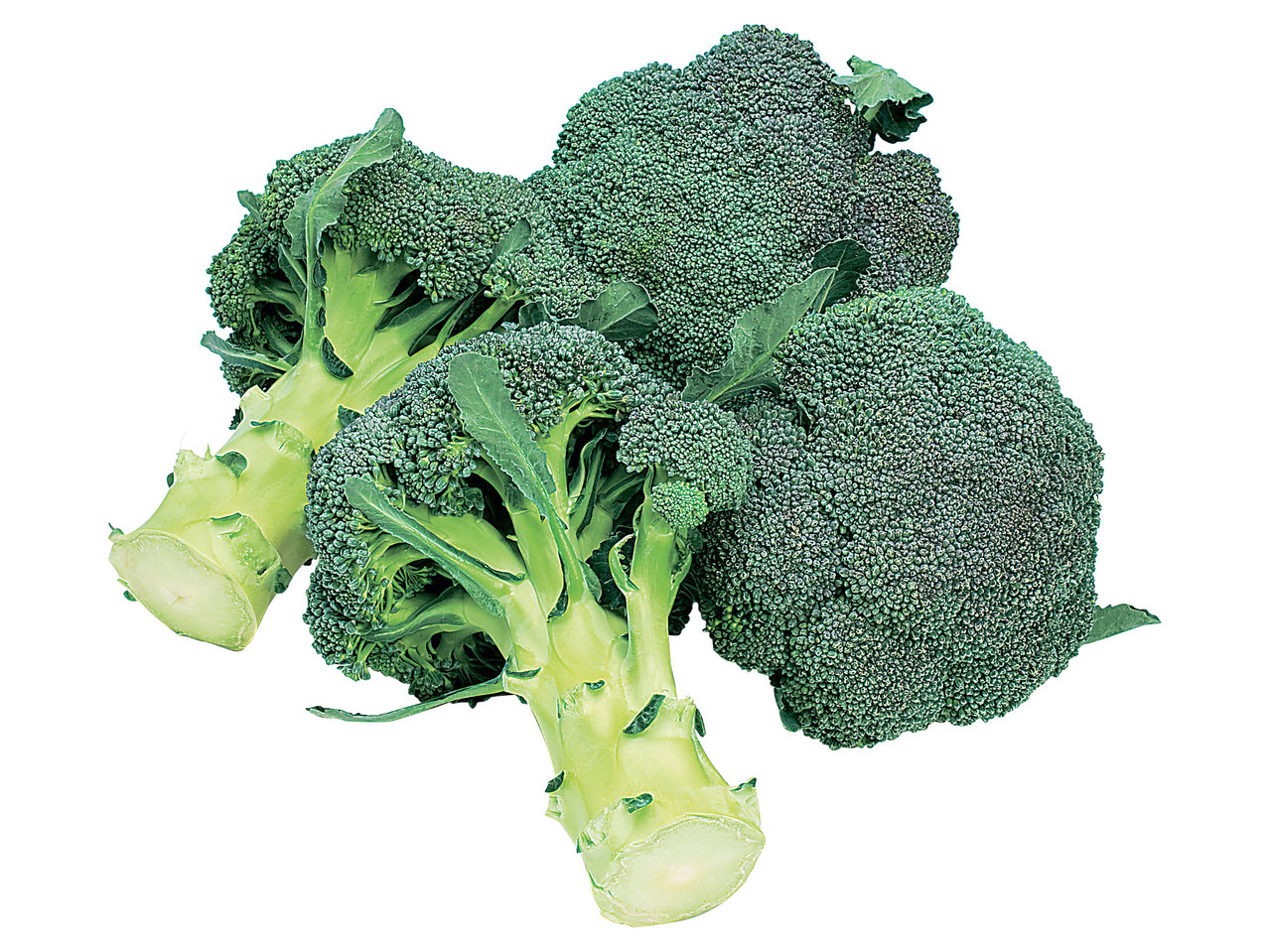 Broccoli
