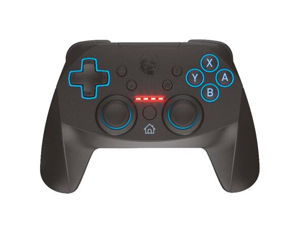 Nintendo Switch Controller